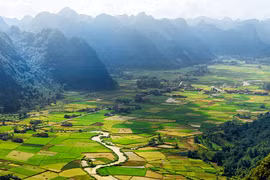 Đường thơ “Ta đi tới”