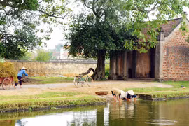 Đừng để làng cổ chỉ còn là những cái tên