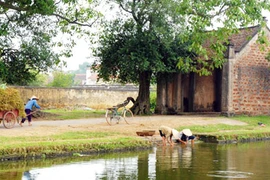 Đừng để làng cổ chỉ còn là những cái tên