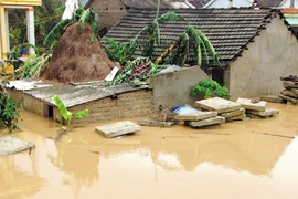 “Không được nhập nhằng trách nhiệm”