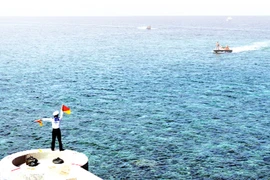 Người Việt ở New York và "kho báu" dành tặng quê hương