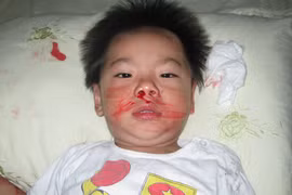 Sự thật cay đắng của vụ Việt kiều Úc “cài cắm” người giúp việc bắt cóc con trai