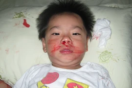 Sự thật cay đắng của vụ Việt kiều Úc “cài cắm” người giúp việc bắt cóc con trai