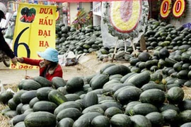 Hoa quả “đại hạ giá”: Của rẻ là của ôi