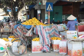 Rau quả Trung Quốc ồ ạt đổ về các chợ