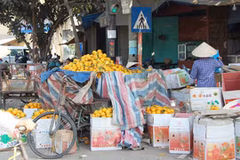 Rau quả Trung Quốc ồ ạt đổ về các chợ