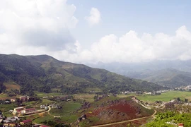 Đi chợ phiên nghe chuyện "Vua mèo"