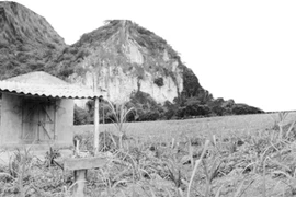 Sự thật núi thiêng xứ Mường