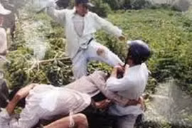 Hãi hùng với “côn đồ xóm” 