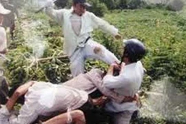 Hãi hùng với “côn đồ xóm” 