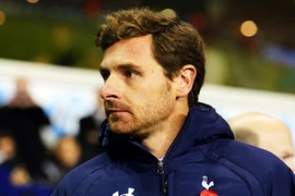 Villas-Boas trên chiếc ghế lung lay