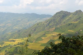 Đi qua 12 tầng dốc