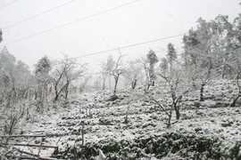 Du khách hồ hởi, người dân khổ vì tuyết