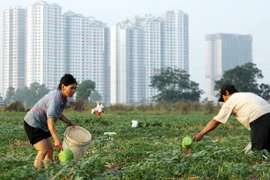 Cần hiến định chặt chẽ về thu hồi đất