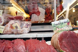 Pháp: Thịt ngựa thí nghiệm bán làm thực phẩm