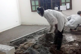 Méo mặt vì sửa nhà đón Tết