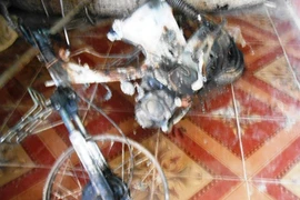 Trộm chó giữa ban ngày, bị đánh trọng thương