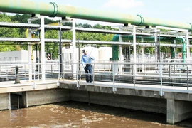 Doanh nghiệp “lách” bằng mọi cách