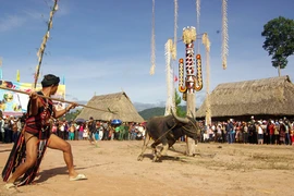 Độc đáo hội Đâm trâu ở Tây Giang