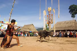 Độc đáo hội Đâm trâu ở Tây Giang