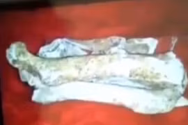 Nhà tâm linh tìm mộ, làm giả hiện vật và hài cốt để lừa đảo, có đồng phạm hay không?