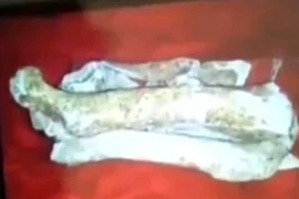 Nhà tâm linh tìm mộ, làm giả hiện vật và hài cốt để lừa đảo, có đồng phạm hay không?