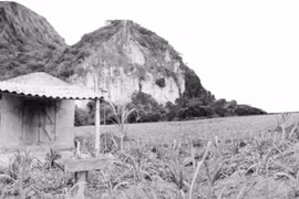 Sự thật núi thiêng xứ Mường