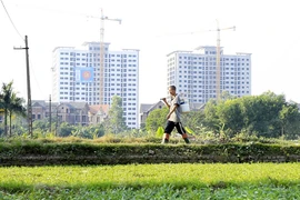 Công bố 8 luật, 1 pháp lệnh mới