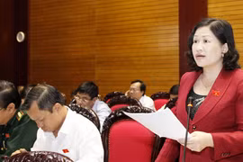 Cấp trùng thẻ gây lãng phí 342 tỷ đồng: Chưa thấy ai chịu trách nhiệm