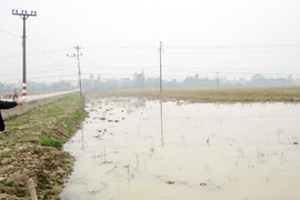 Thiếu kinh phí nên tạm bợ?