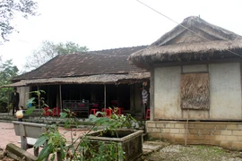 Cây khế bách niên và tuổi thơ Đại tướng