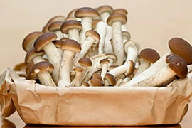 Những kẻ giết người thầm lặng