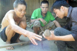 Hoạn trâu: Nghề nguy hiểm