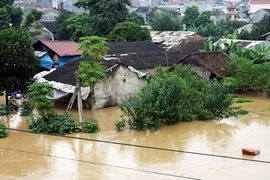 Lũ lụt lịch sử tại miền Trung: Đổ lỗi vòng quanh