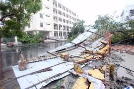 Tan hoang sau bão số 11