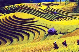 Đường lên Trống Pá Sang 