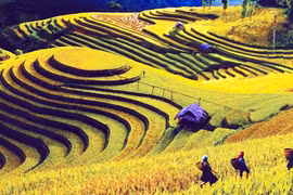 Đường lên Trống Pá Sang 