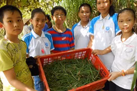 Những tiết học mang hơi thở cuộc sống