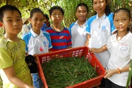 Những tiết học mang hơi thở cuộc sống