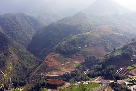 Du lịch cuối năm: Giảm giá vẫn đìu hiu