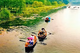 Mùa chim di trú trên đầm Vân Long