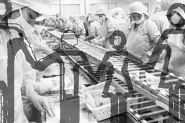 Trụ cột của nền kinh tế lớn