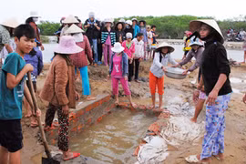 Rùa vàng “trấn yểm long mạch”, hàng trăm người dân phá lăng mộ?