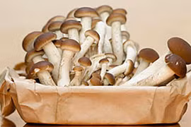 Những kẻ giết người thầm lặng