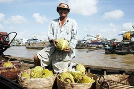 Thương lái nước ngoài thu gom nông sản: Để lại tiếng xấu cho hàng Việt