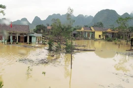 Hà Tĩnh - Quảng Bình ngập chìm trong lũ