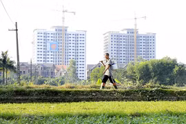 Công bố 8 luật, 1 pháp lệnh mới