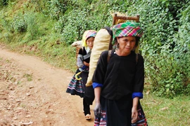 Di dân tự do còn nhiều phức tạp 