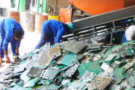 Hợp tác là chìa khóa bảo vệ môi trường