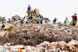 Nhiều sản phẩm thải loại buộc phải thu gom